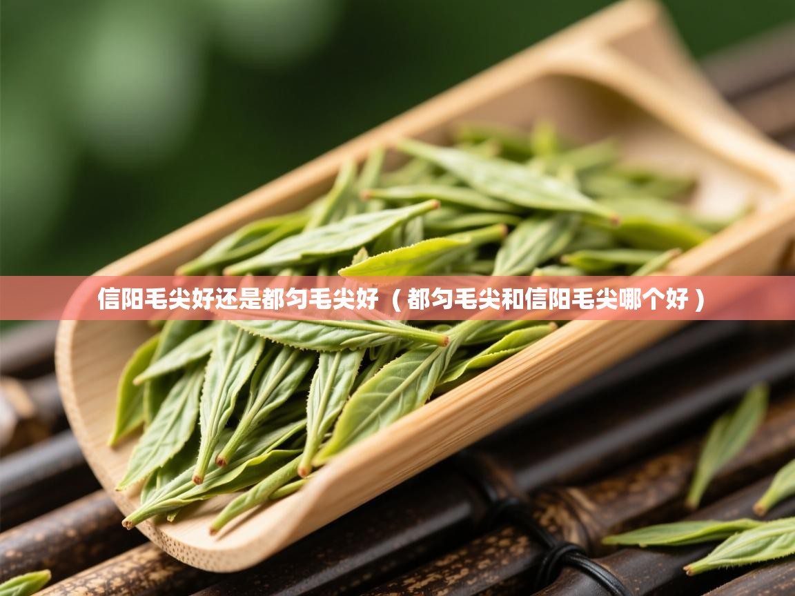 信阳毛尖好还是都匀毛尖好  ( 都匀毛尖和信阳毛尖哪个好 )  信阳毛尖好还是都匀毛尖好  ( 都匀毛尖和信阳毛尖哪个好 )