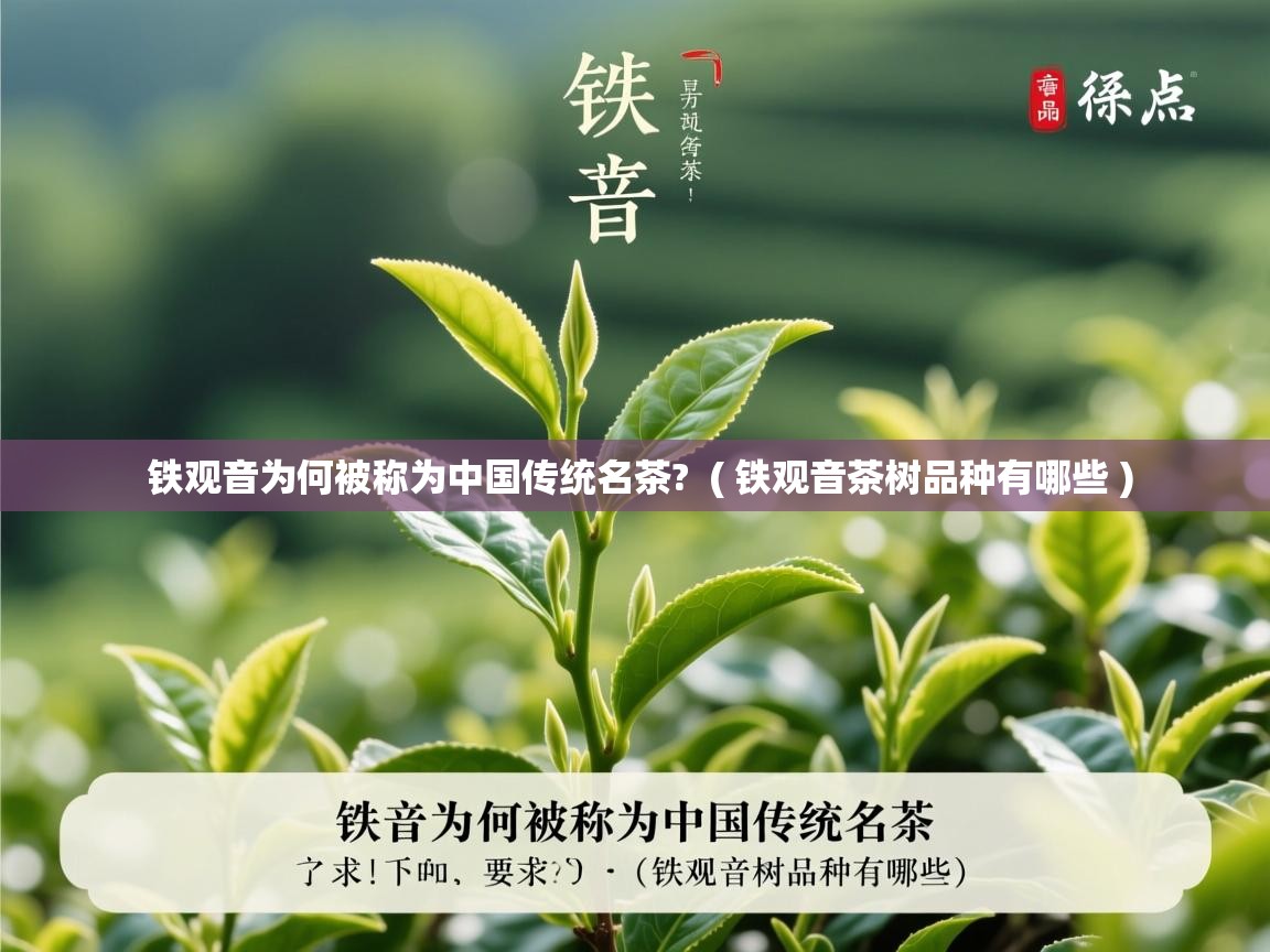 铁观音为何被称为中国传统名茶?  ( 铁观音茶树品种有哪些 )  铁观音为何被称为中国传统名茶?  ( 铁观音茶树品种有哪些 )