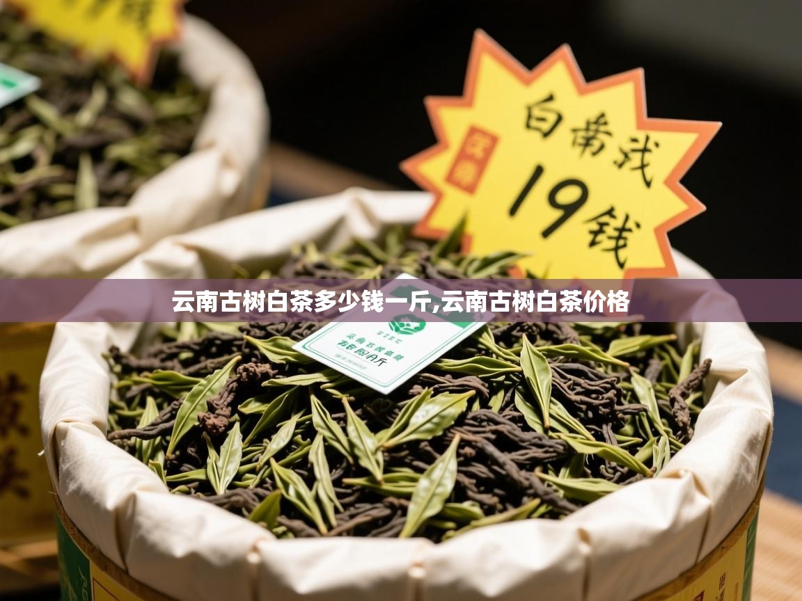 云南古树白茶多少钱一斤,云南古树白茶价格   云南古树白茶多少钱一斤,云南古树白茶价格