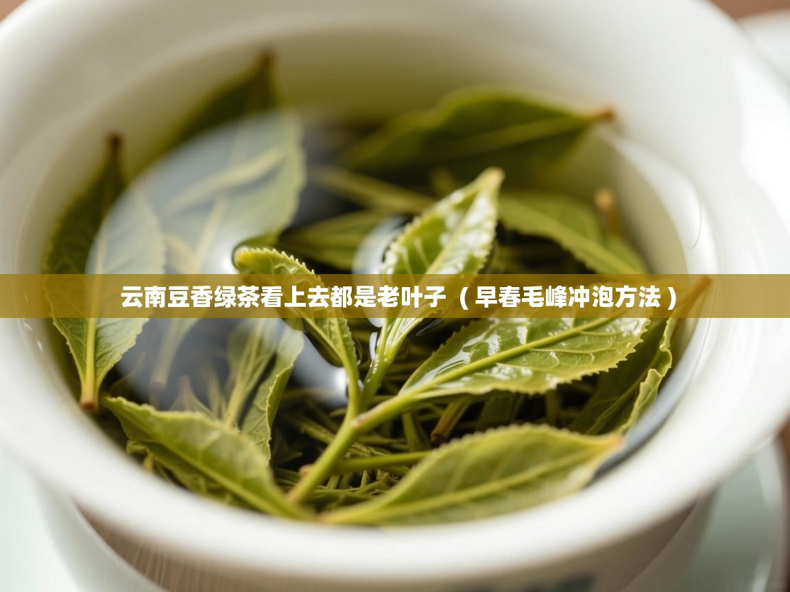 详细阅读: 云南豆香绿茶看上去都是老叶子  ( 早春毛峰冲泡方法 )  云南豆香绿茶看上去都是老叶子  ( 早春毛峰冲泡方法 )