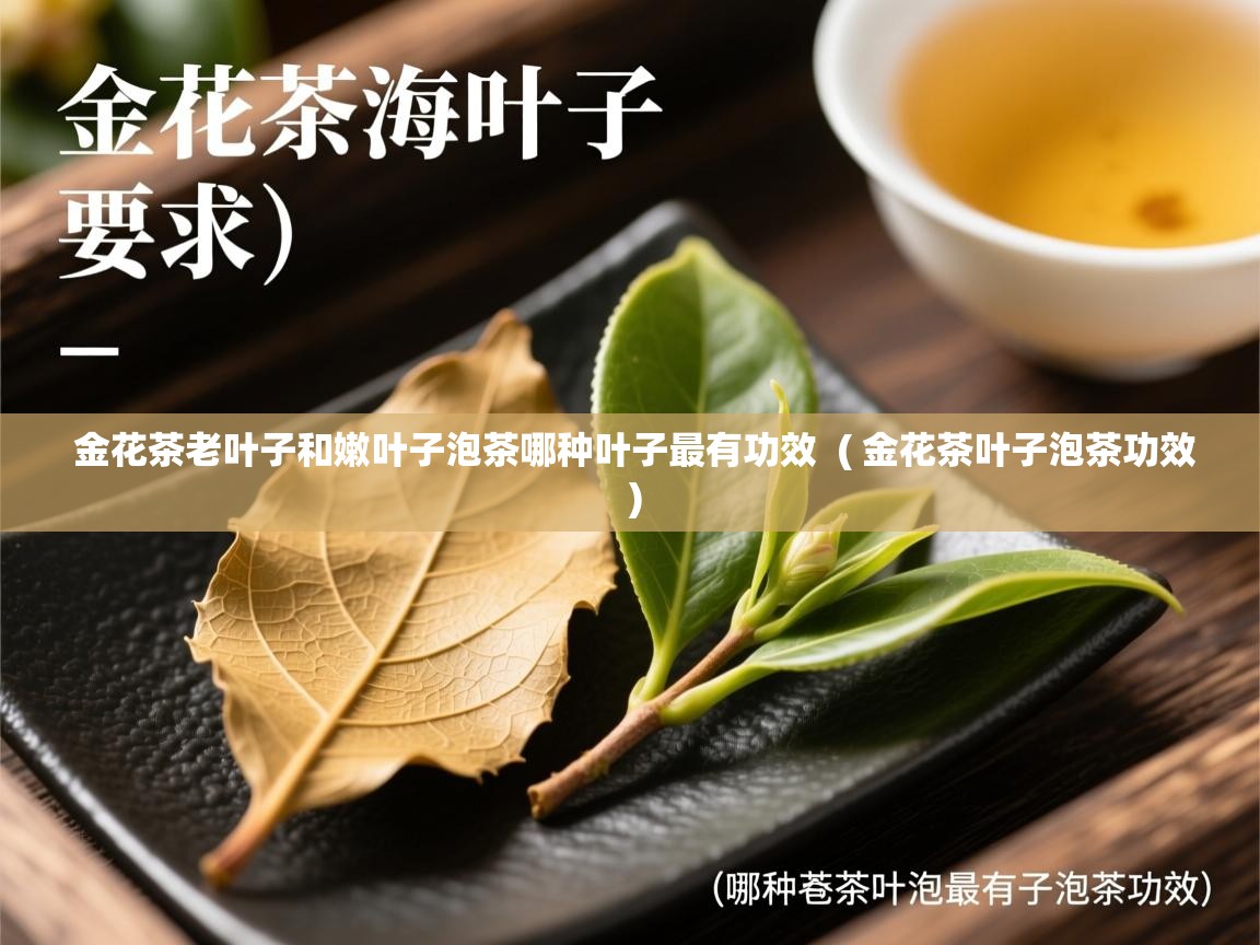 金花茶老叶子和嫩叶子泡茶哪种叶子最有功效  ( 金花茶叶子泡茶功效 )  金花茶老叶子和嫩叶子泡茶哪种叶子最有功效  ( 金花茶叶子泡茶功效 )