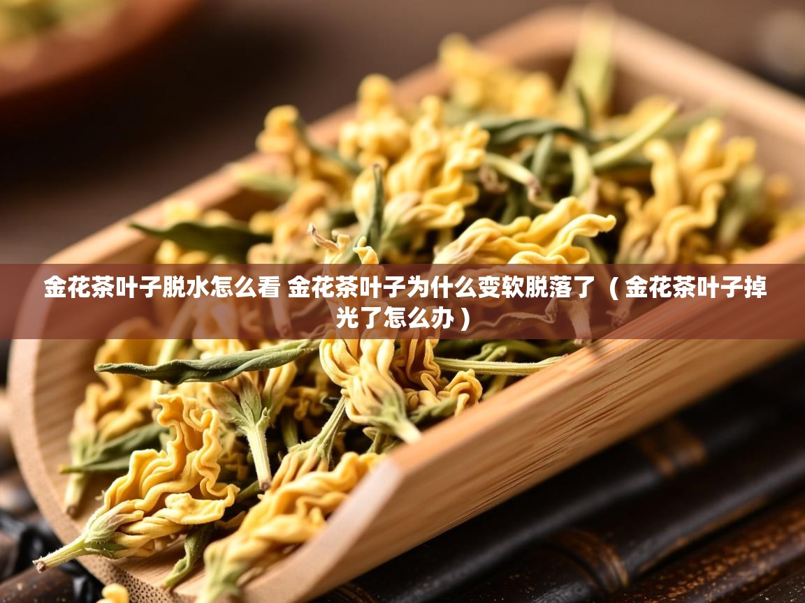 金花茶叶子脱水怎么看 金花茶叶子为什么变软脱落了  ( 金花茶叶子掉光了怎么办 )  金花茶叶子脱水怎么看 金花茶叶子为什么变软脱落了  ( 金花茶叶子掉光了怎么办 )