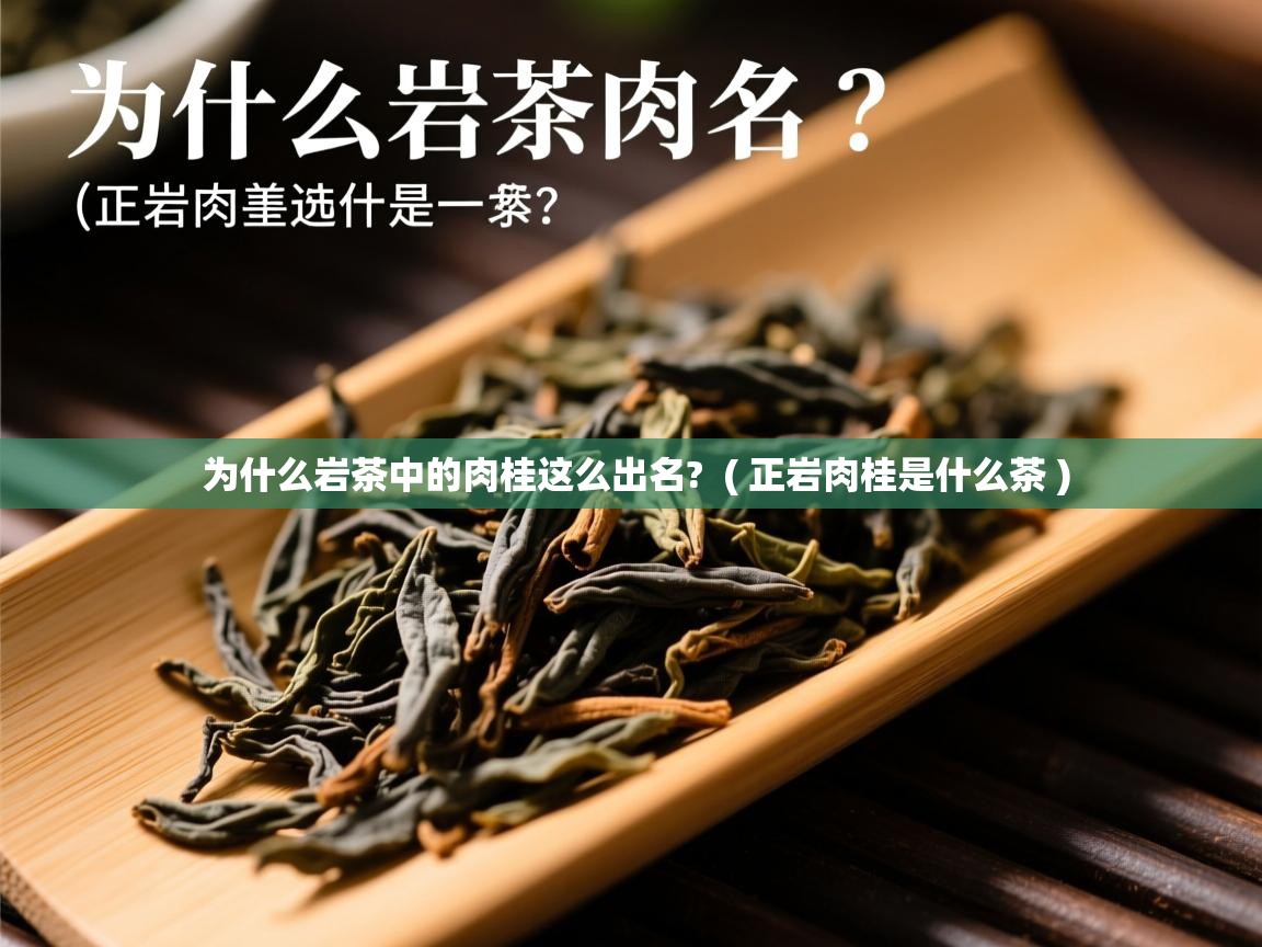为什么岩茶中的肉桂这么出名?  ( 正岩肉桂是什么茶 )  为什么岩茶中的肉桂这么出名?  ( 正岩肉桂是什么茶 )