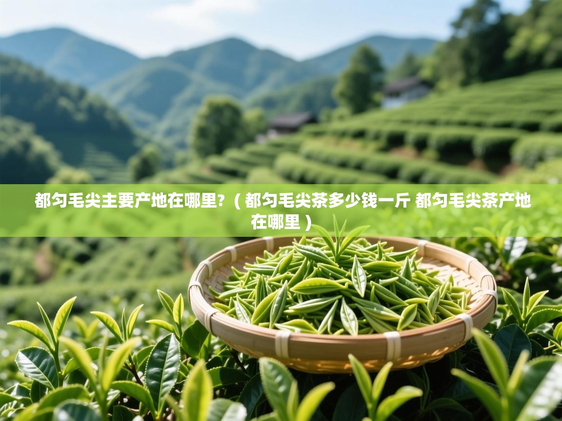 详细阅读: 都匀毛尖主要产地在哪里?  ( 都匀毛尖茶多少钱一斤 都匀毛尖茶产地在哪里 )  都匀毛尖主要产地在哪里?  ( 都匀毛尖茶多少钱一斤 都匀毛尖茶产地在哪里 )