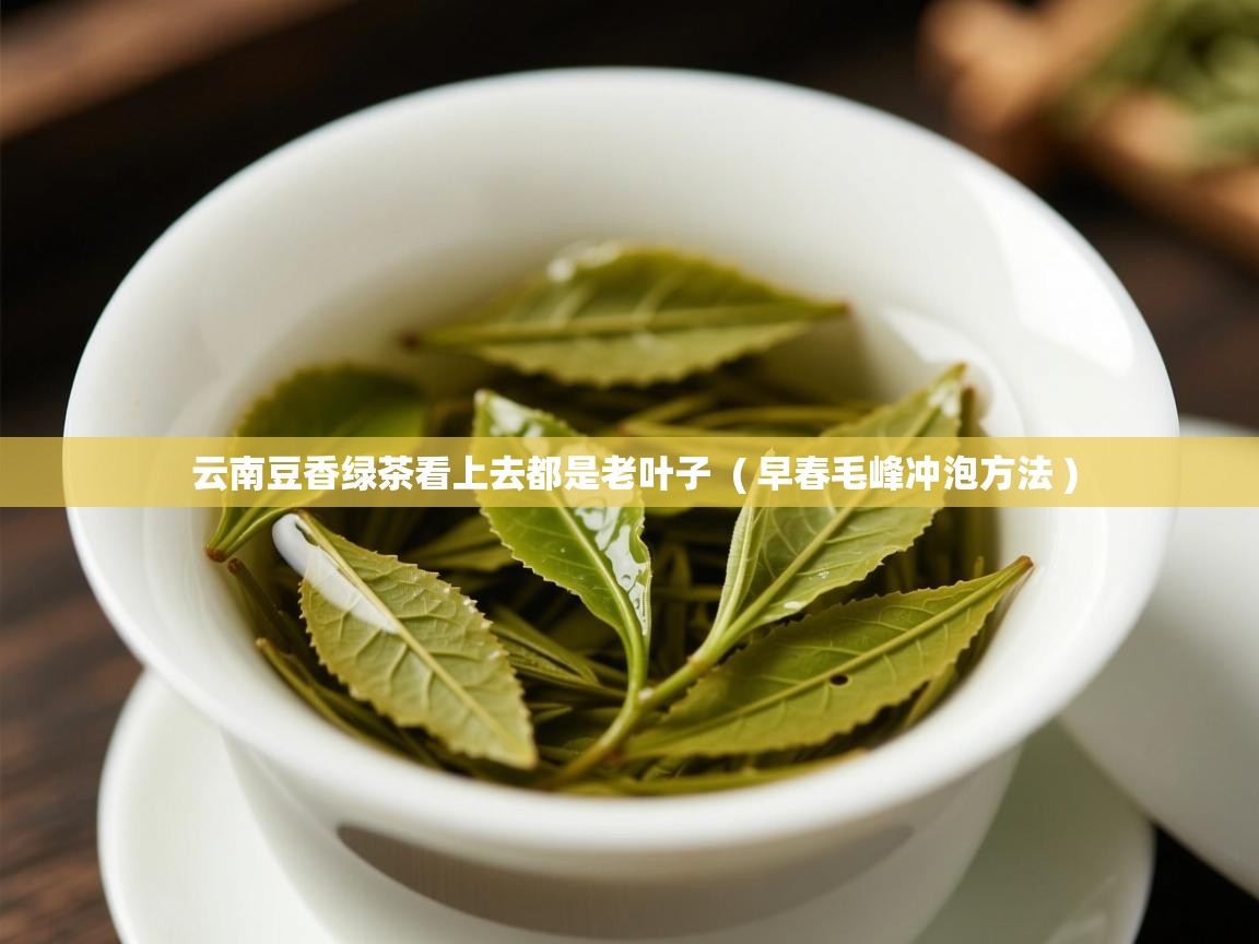 云南豆香绿茶看上去都是老叶子  ( 早春毛峰冲泡方法 )  云南豆香绿茶看上去都是老叶子  ( 早春毛峰冲泡方法 )