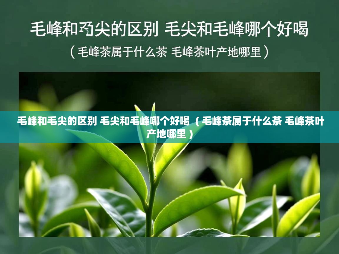 详细阅读: 毛峰和毛尖的区别 毛尖和毛峰哪个好喝  ( 毛峰茶属于什么茶 毛峰茶叶产地哪里 )  毛峰和毛尖的区别 毛尖和毛峰哪个好喝  ( 毛峰茶属于什么茶 毛峰茶叶产地哪里 )