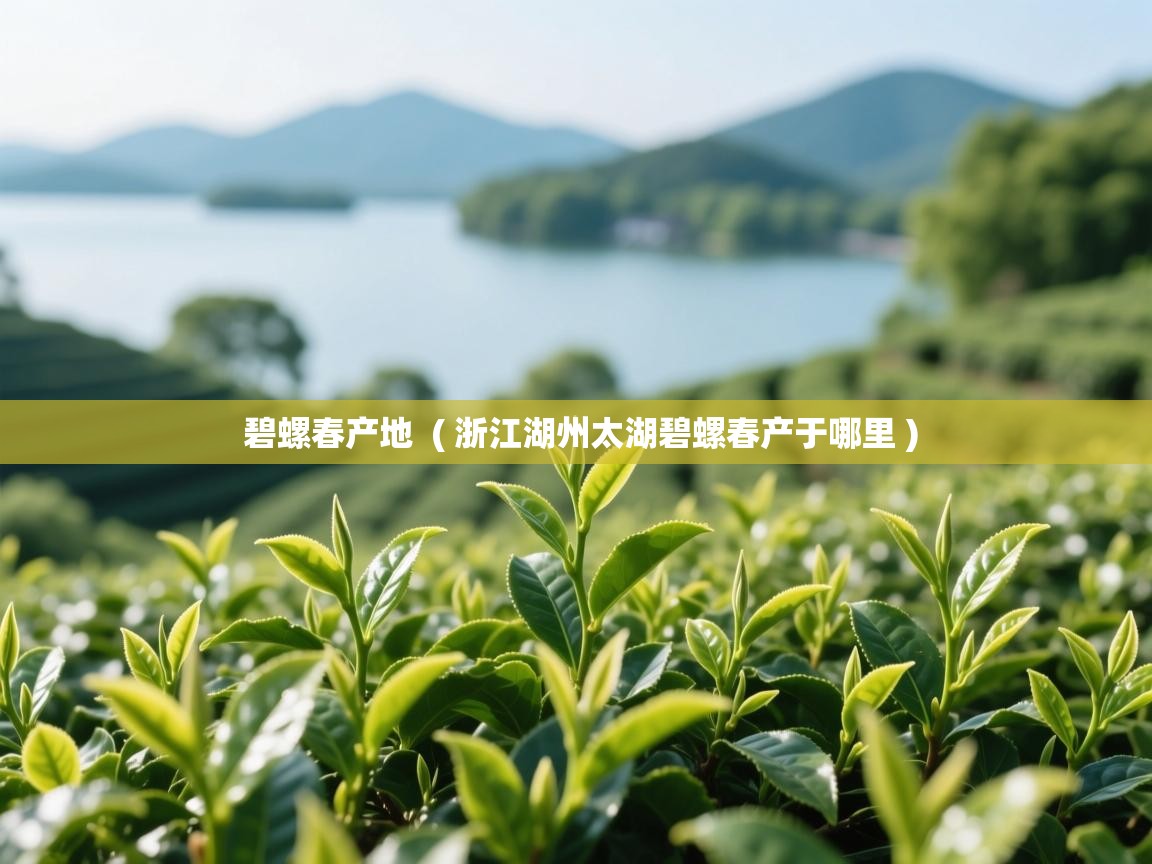 碧螺春产地  ( 浙江湖州太湖碧螺春产于哪里 )  碧螺春产地  ( 浙江湖州太湖碧螺春产于哪里 )