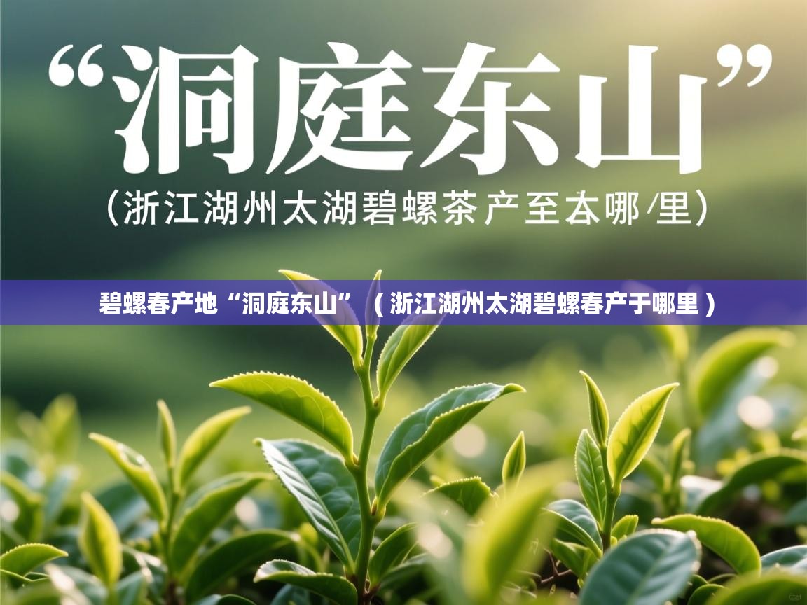 碧螺春产地“洞庭东山”  ( 浙江湖州太湖碧螺春产于哪里 )  碧螺春产地“洞庭东山”  ( 浙江湖州太湖碧螺春产于哪里 )