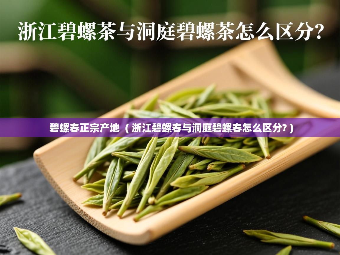 碧螺春正宗产地  ( 浙江碧螺春与洞庭碧螺春怎么区分? )  碧螺春正宗产地  ( 浙江碧螺春与洞庭碧螺春怎么区分? )