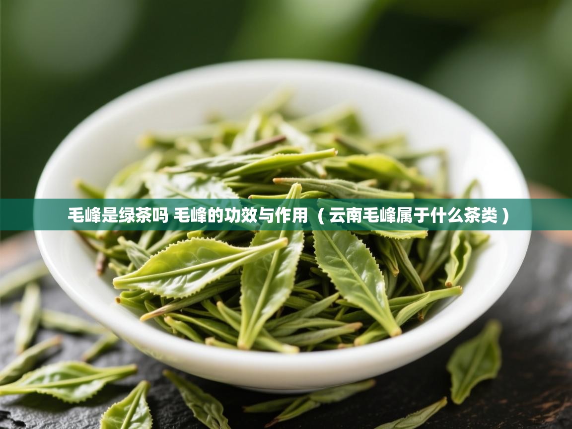 毛峰是绿茶吗 毛峰的功效与作用  ( 云南毛峰属于什么茶类 )  毛峰是绿茶吗 毛峰的功效与作用  ( 云南毛峰属于什么茶类 )