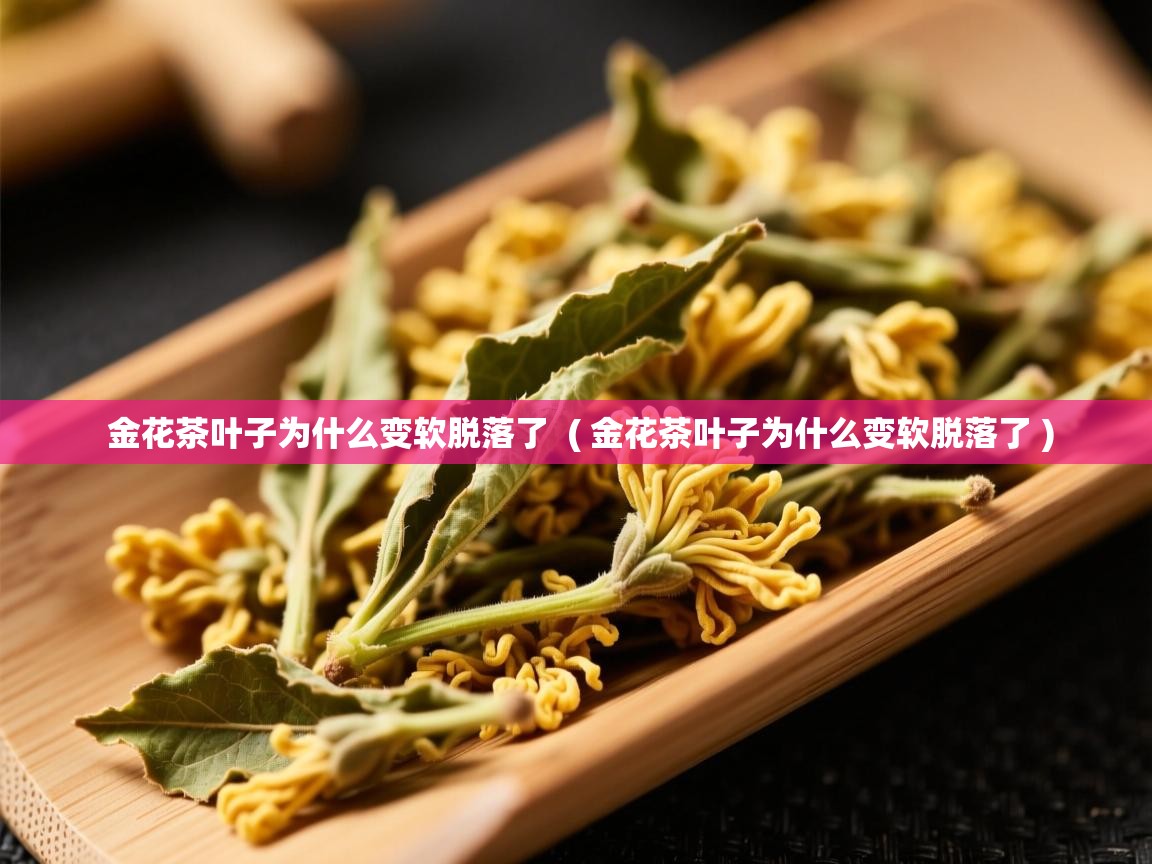 金花茶叶子为什么变软脱落了  ( 金花茶叶子为什么变软脱落了 )  金花茶叶子为什么变软脱落了  ( 金花茶叶子为什么变软脱落了 )