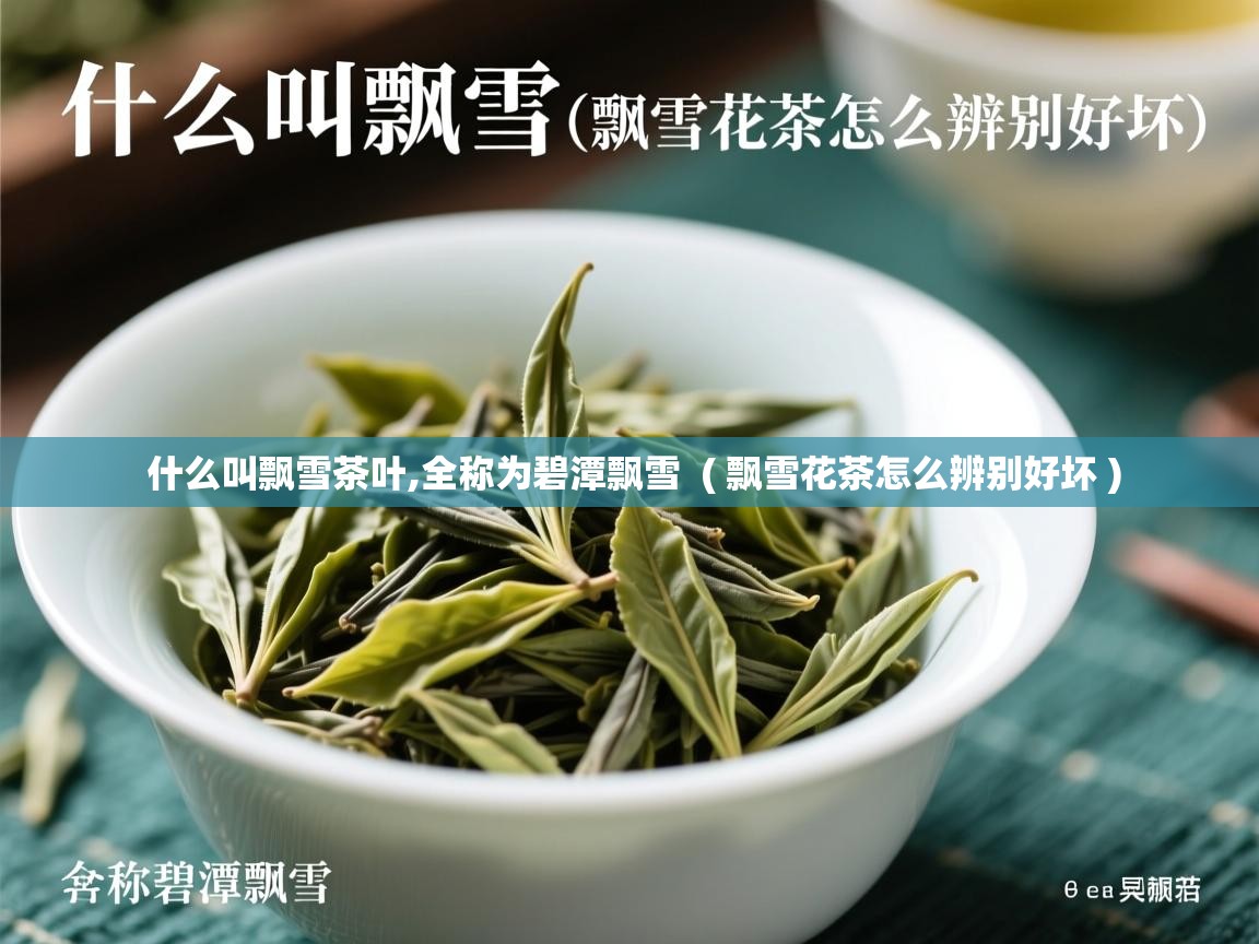 什么叫飘雪茶叶,全称为碧潭飘雪  ( 飘雪花茶怎么辨别好坏 )  什么叫飘雪茶叶,全称为碧潭飘雪  ( 飘雪花茶怎么辨别好坏 )