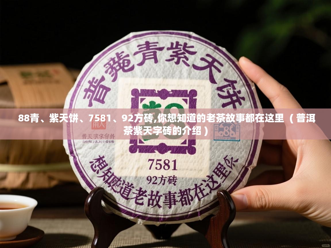  88青、紫天饼、7581、92方砖,你想知道的老茶故事都在这里  ( 普洱茶紫天字砖的介绍 )