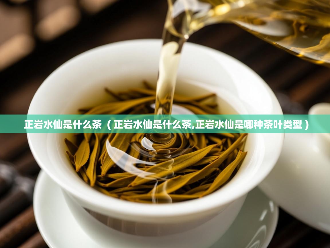  正岩水仙是什么茶  ( 正岩水仙是什么茶,正岩水仙是哪种茶叶类型 )