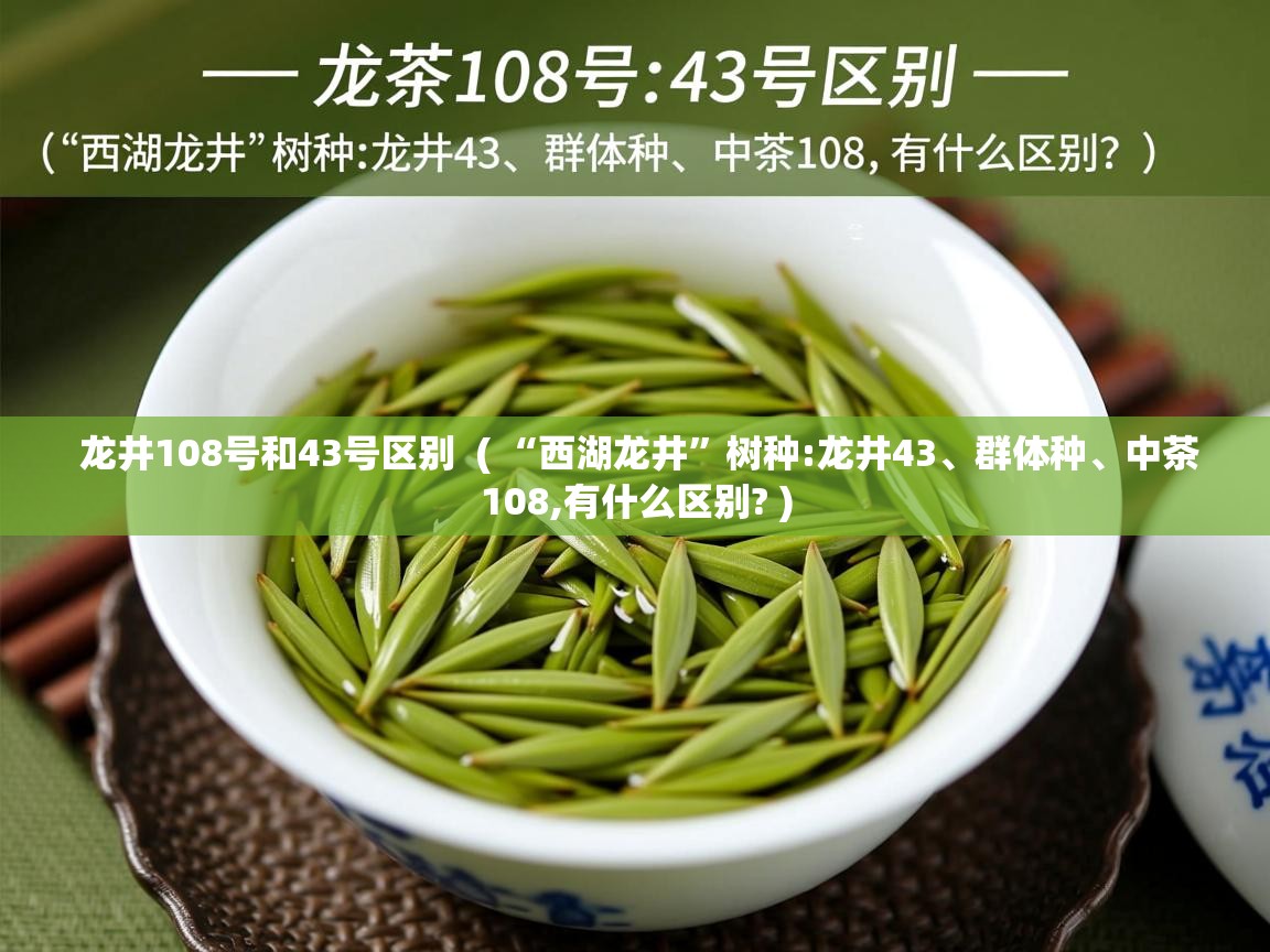 龙井108号和43号区别  ( “西湖龙井”树种:龙井43、群体种、中茶108,有什么区别? )  龙井108号和43号区别  ( “西湖龙井”树种:龙井43、群体种、中茶108,有什么区别? )