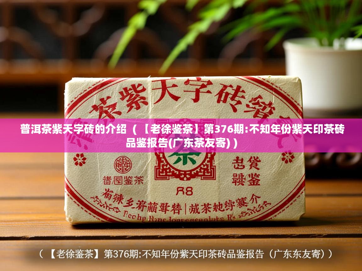 普洱茶紫天字砖的介绍  ( 【老徐鉴茶】第376期:不知年份紫天印茶砖品鉴报告(广东茶友寄) )  普洱茶紫天字砖的介绍  ( 【老徐鉴茶】第376期:不知年份紫天印茶砖品鉴报告(广东茶友寄) )