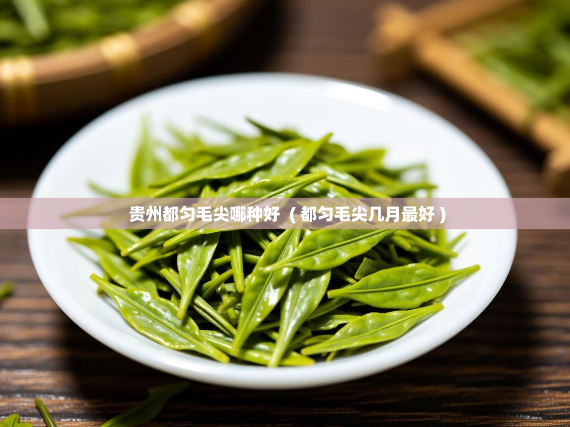 贵州都匀毛尖哪种好  ( 都匀毛尖几月最好 )