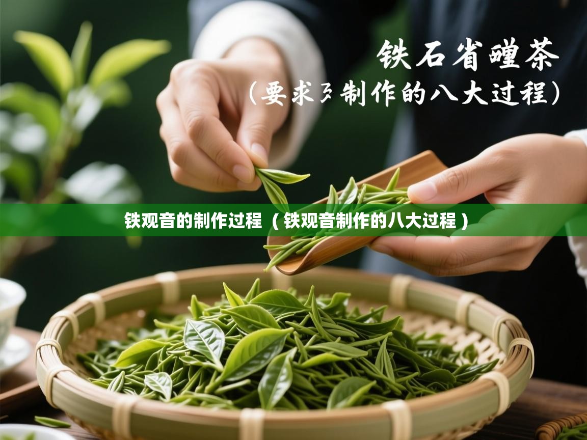 铁观音的制作过程  ( 铁观音制作的八大过程 )  铁观音的制作过程  ( 铁观音制作的八大过程 )