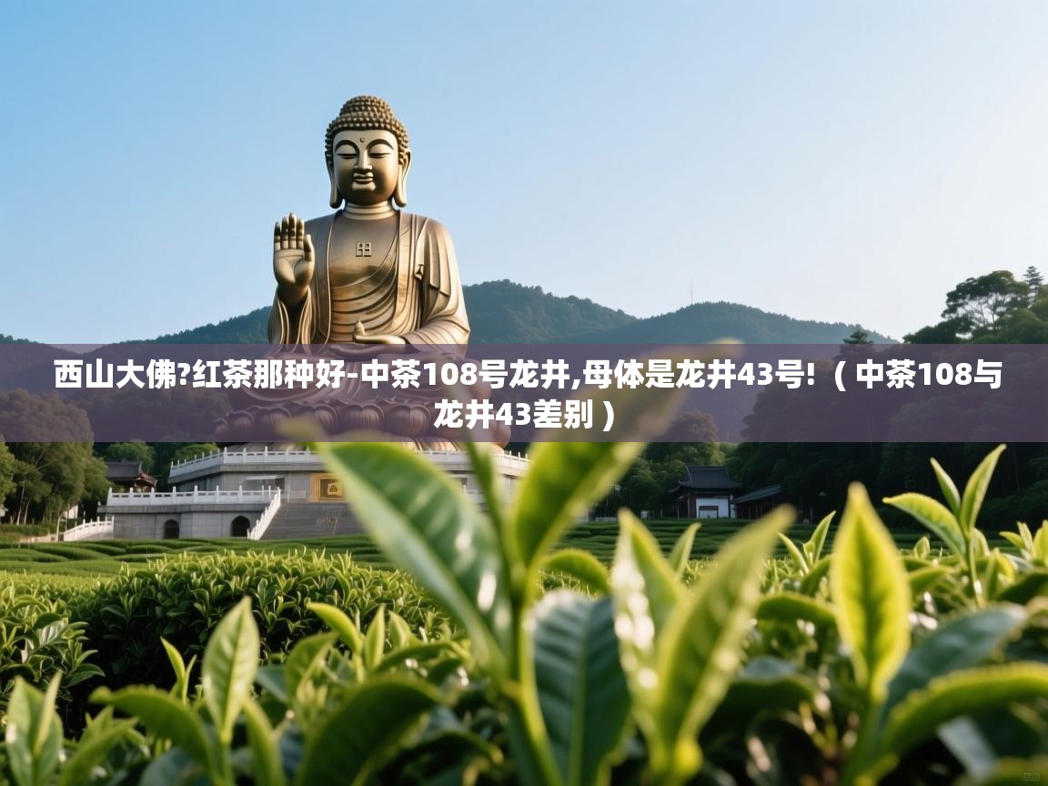 详细阅读: 西山大佛?红茶那种好-中茶108号龙井,母体是龙井43号!  ( 中茶108与龙井43差别 )  西山大佛?红茶那种好-中茶108号龙井,母体是龙井43号!  ( 中茶108与龙井43差别 )