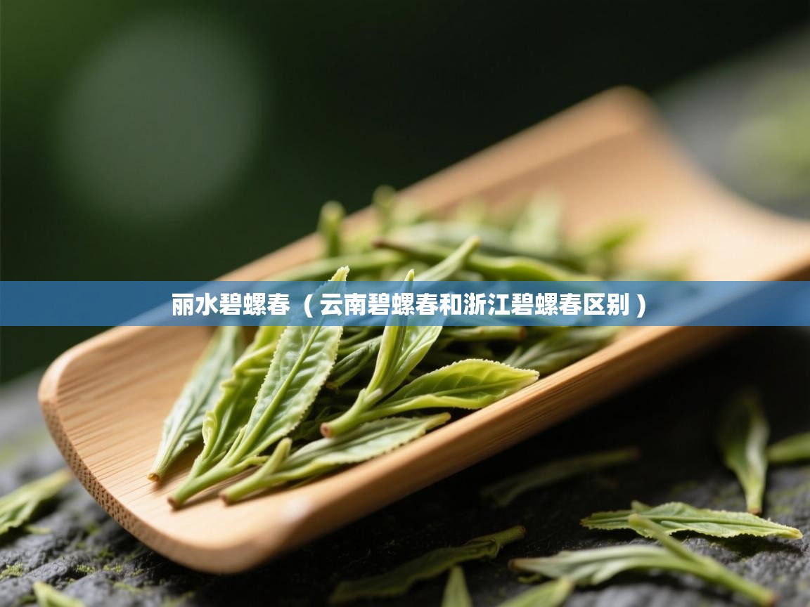 详细阅读: 丽水碧螺春  ( 云南碧螺春和浙江碧螺春区别 )  丽水碧螺春  ( 云南碧螺春和浙江碧螺春区别 )