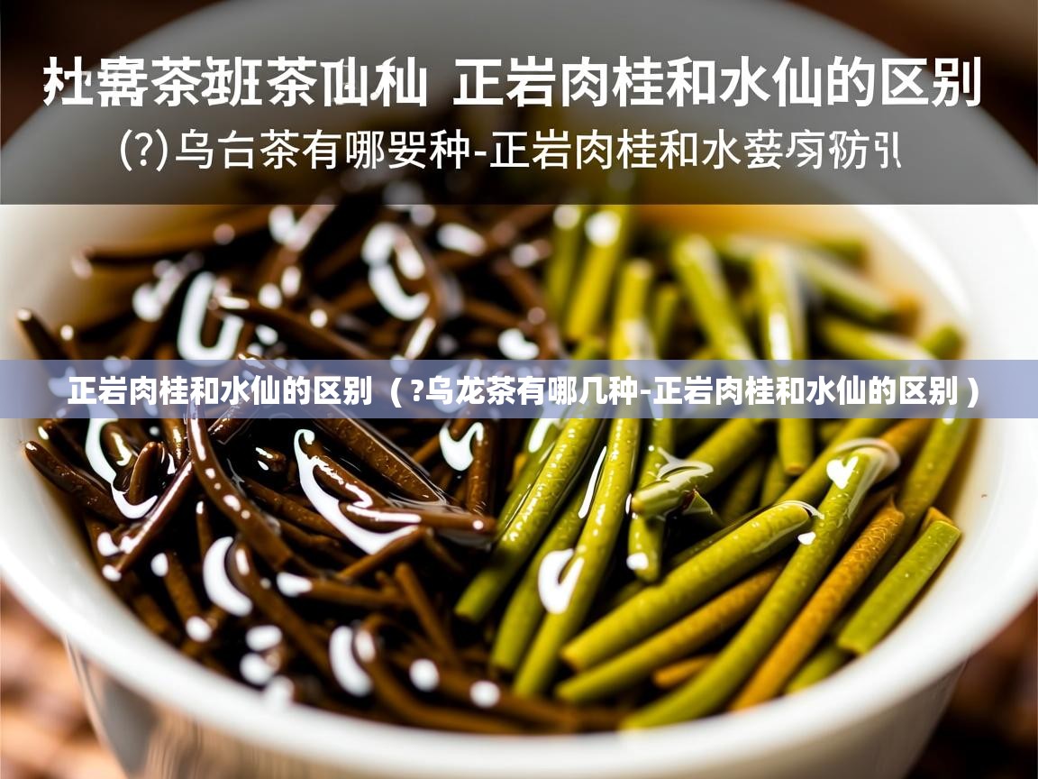 正岩肉桂和水仙的区别  ( ?乌龙茶有哪几种-正岩肉桂和水仙的区别 )  正岩肉桂和水仙的区别  ( ?乌龙茶有哪几种-正岩肉桂和水仙的区别 )