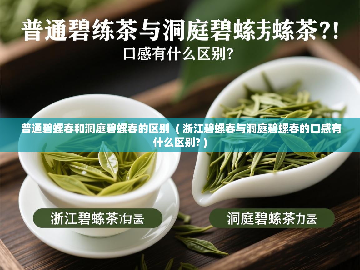  普通碧螺春和洞庭碧螺春的区别  ( 浙江碧螺春与洞庭碧螺春的口感有什么区别? )