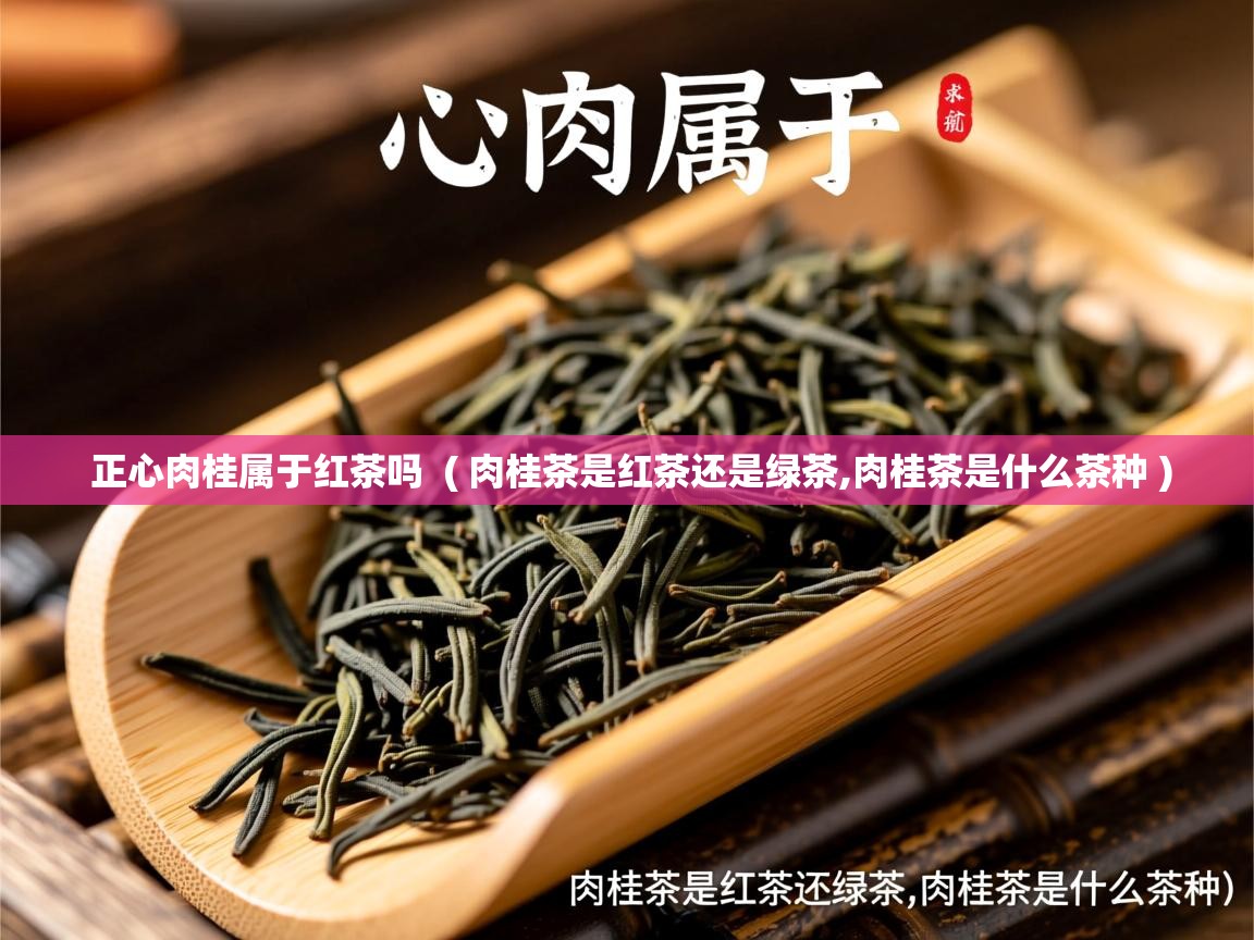 正心肉桂属于红茶吗  ( 肉桂茶是红茶还是绿茶,肉桂茶是什么茶种 )  正心肉桂属于红茶吗  ( 肉桂茶是红茶还是绿茶,肉桂茶是什么茶种 )