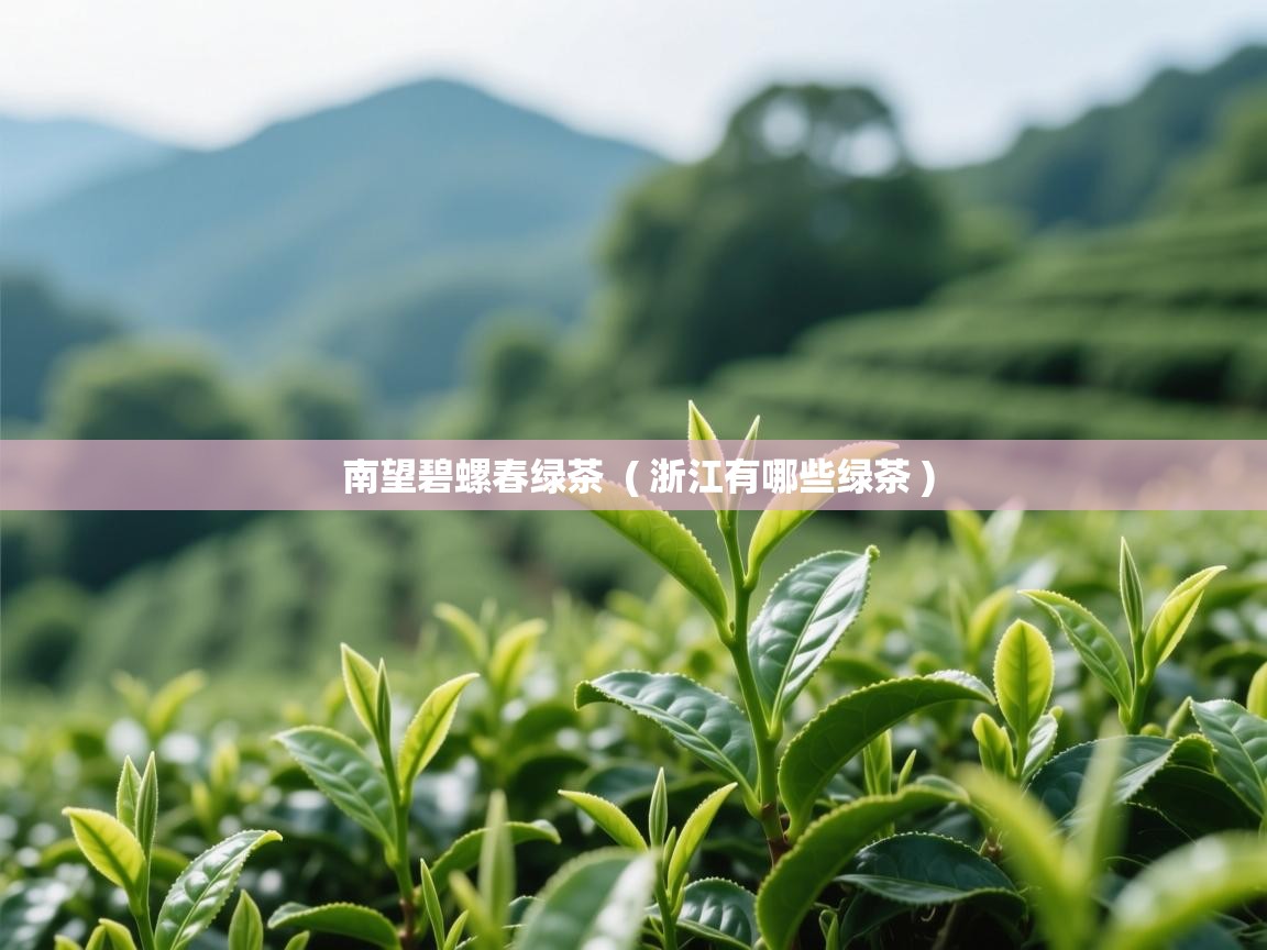 南望碧螺春绿茶  ( 浙江有哪些绿茶 )  南望碧螺春绿茶  ( 浙江有哪些绿茶 )