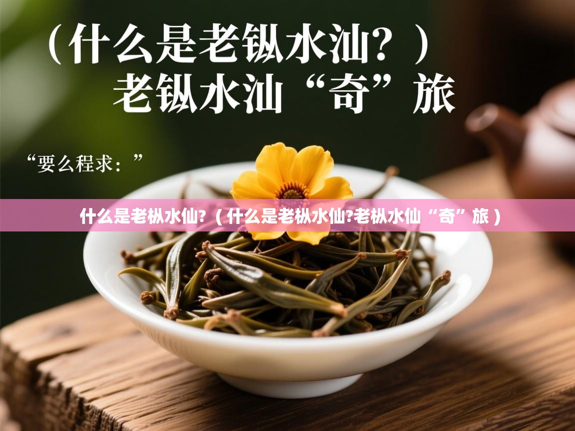  什么是老枞水仙?  ( 什么是老枞水仙?老枞水仙“奇”旅 )