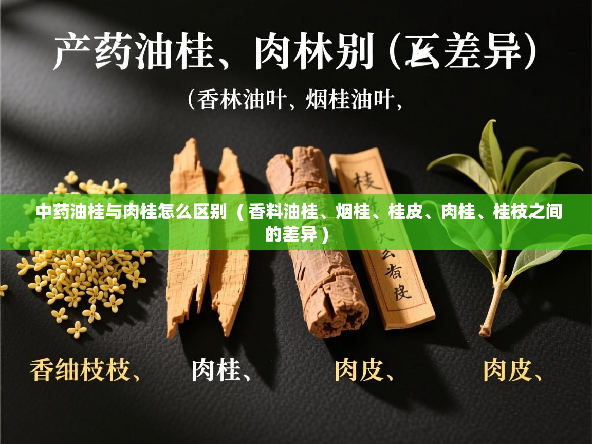  中药油桂与肉桂怎么区别  ( 香料油桂、烟桂、桂皮、肉桂、桂枝之间的差异 )