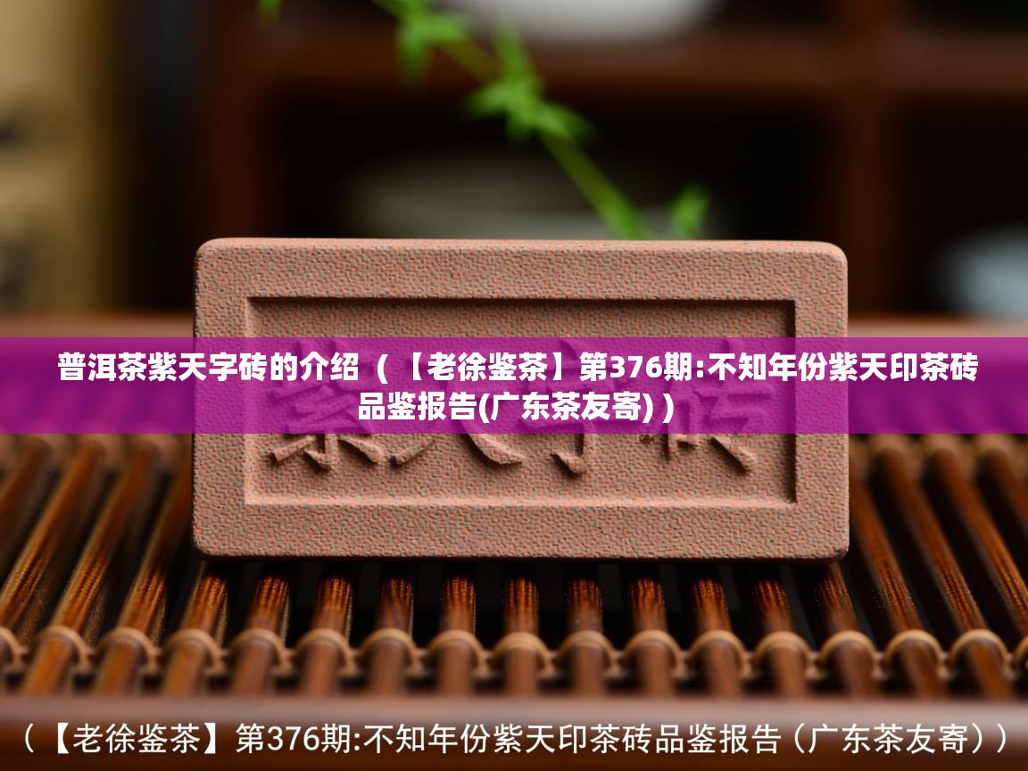 普洱茶紫天字砖的介绍  ( 【老徐鉴茶】第376期:不知年份紫天印茶砖品鉴报告(广东茶友寄) )  普洱茶紫天字砖的介绍  ( 【老徐鉴茶】第376期:不知年份紫天印茶砖品鉴报告(广东茶友寄) )