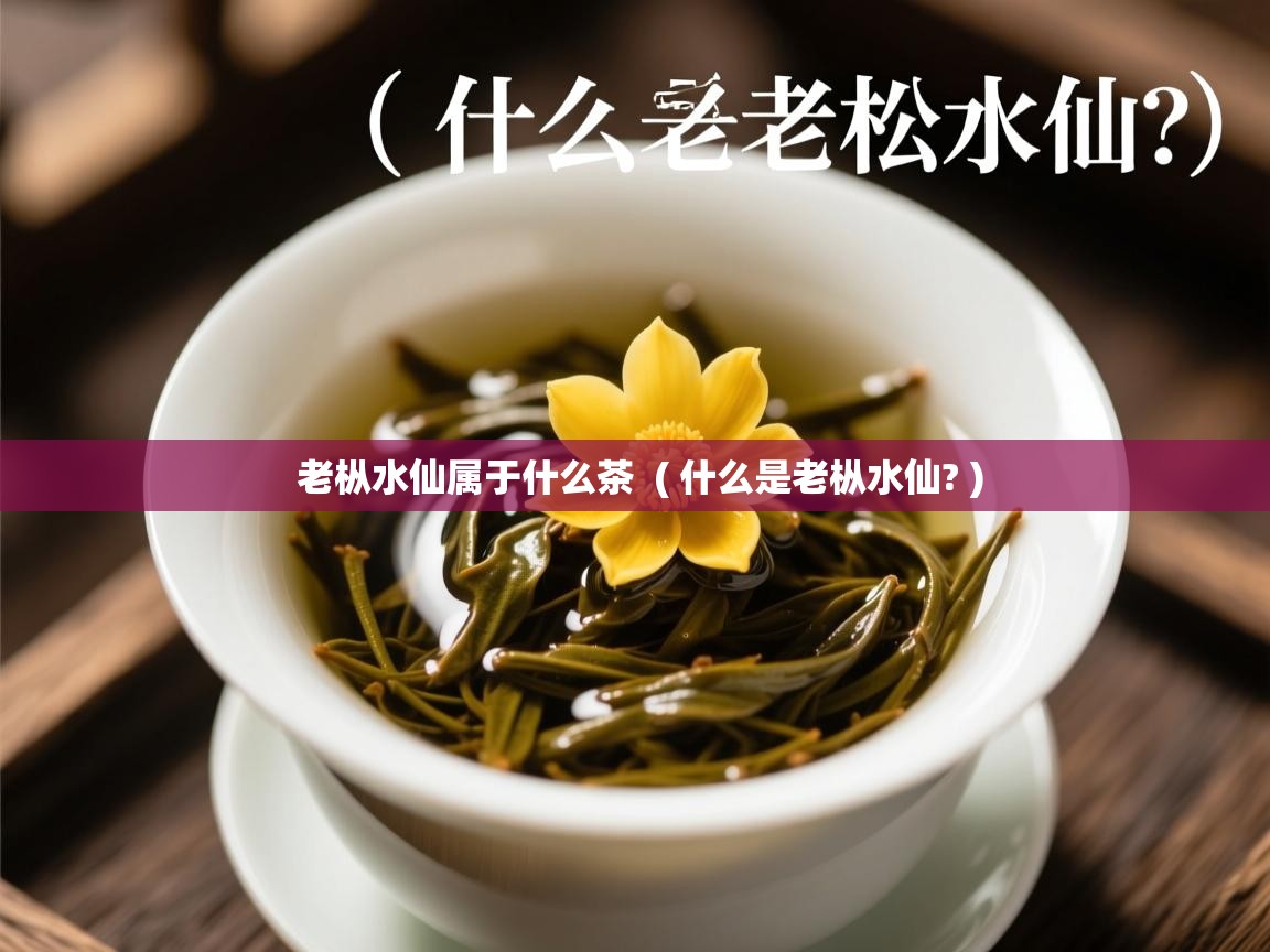  老枞水仙属于什么茶  ( 什么是老枞水仙? )