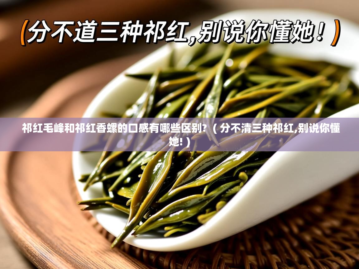 祁红毛峰和祁红香螺的口感有哪些区别?  ( 分不清三种祁红,别说你懂她! )  祁红毛峰和祁红香螺的口感有哪些区别?  ( 分不清三种祁红,别说你懂她! )
