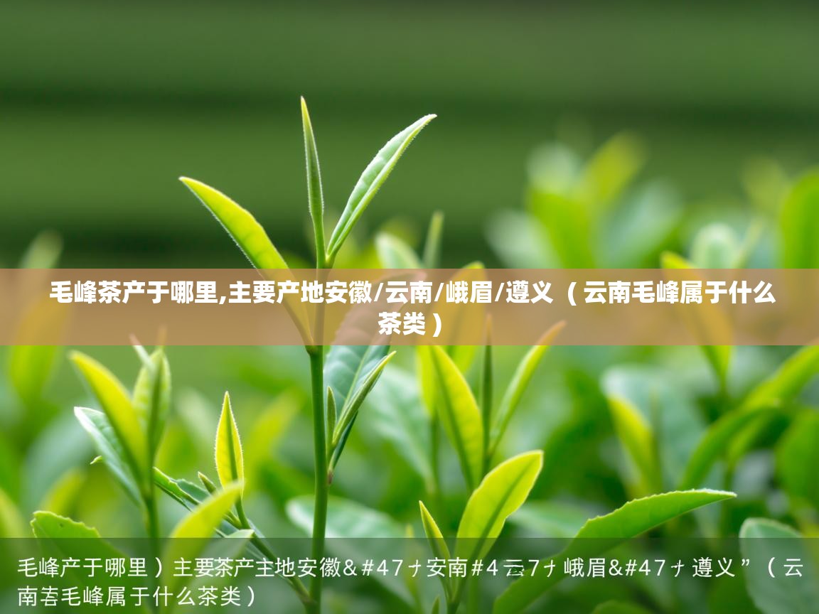 毛峰茶产于哪里,主要产地安徽/云南/峨眉/遵义  ( 云南毛峰属于什么茶类 )  毛峰茶产于哪里,主要产地安徽/云南/峨眉/遵义  ( 云南毛峰属于什么茶类 )