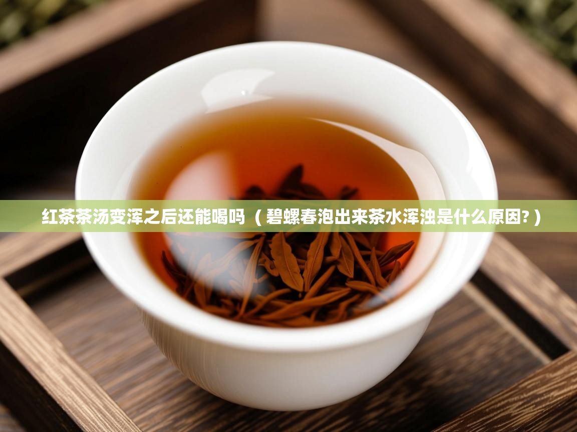 红茶茶汤变浑之后还能喝吗  ( 碧螺春泡出来茶水浑浊是什么原因? )  红茶茶汤变浑之后还能喝吗  ( 碧螺春泡出来茶水浑浊是什么原因? )