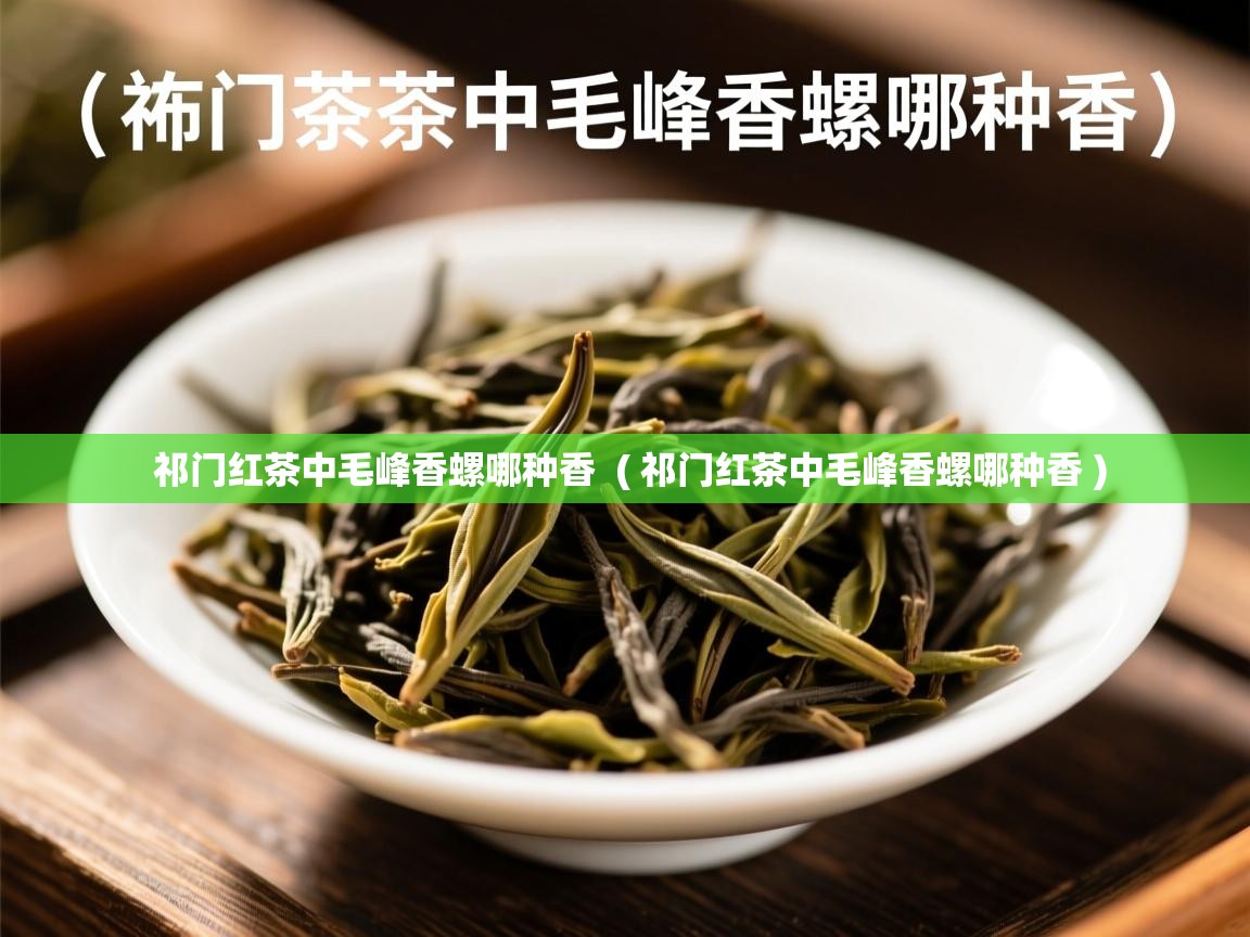 祁门红茶中毛峰香螺哪种香  ( 祁门红茶中毛峰香螺哪种香 )  祁门红茶中毛峰香螺哪种香  ( 祁门红茶中毛峰香螺哪种香 )