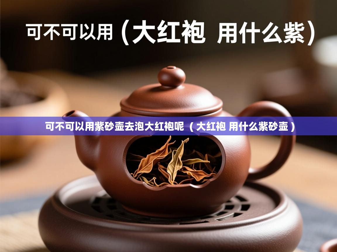  可不可以用紫砂壶去泡大红袍呢  ( 大红袍 用什么紫砂壶 )