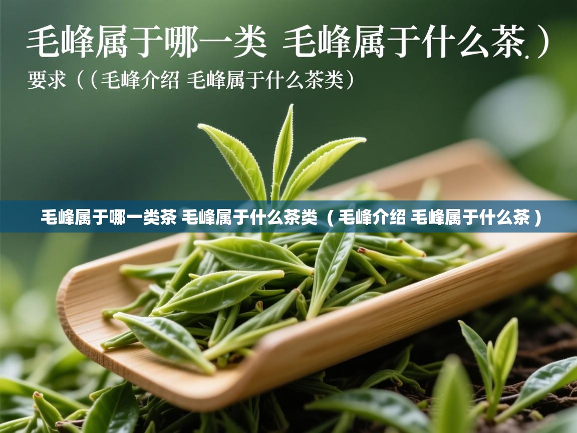毛峰属于哪一类茶 毛峰属于什么茶类  ( 毛峰介绍 毛峰属于什么茶 )  毛峰属于哪一类茶 毛峰属于什么茶类  ( 毛峰介绍 毛峰属于什么茶 )