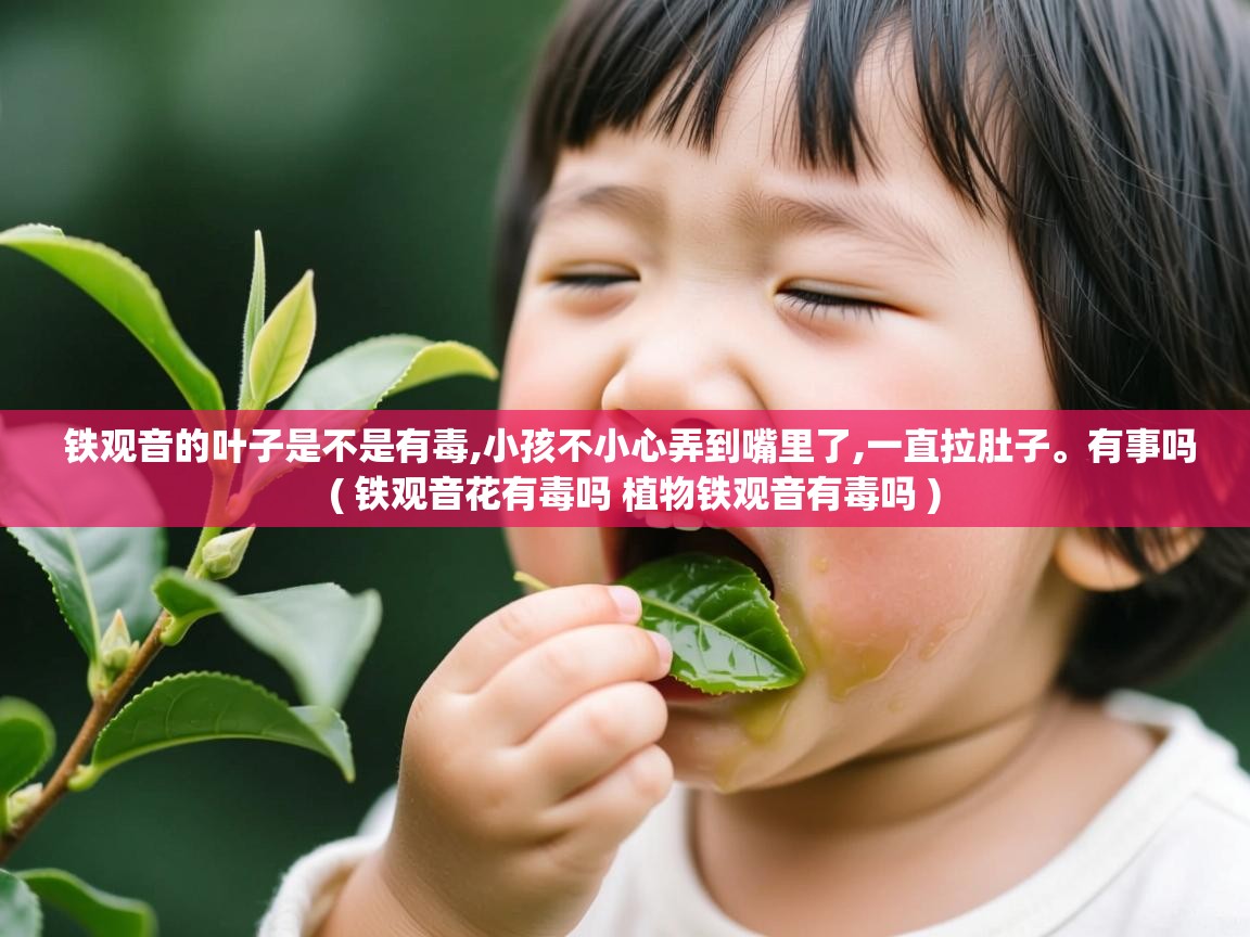 铁观音的叶子是不是有毒,小孩不小心弄到嘴里了,一直拉肚子。有事吗  ( 铁观音花有毒吗 植物铁观音有毒吗 )  铁观音的叶子是不是有毒,小孩不小心弄到嘴里了,一直拉肚子。有事吗  ( 铁观音花有毒吗 植物铁观音有毒吗 )