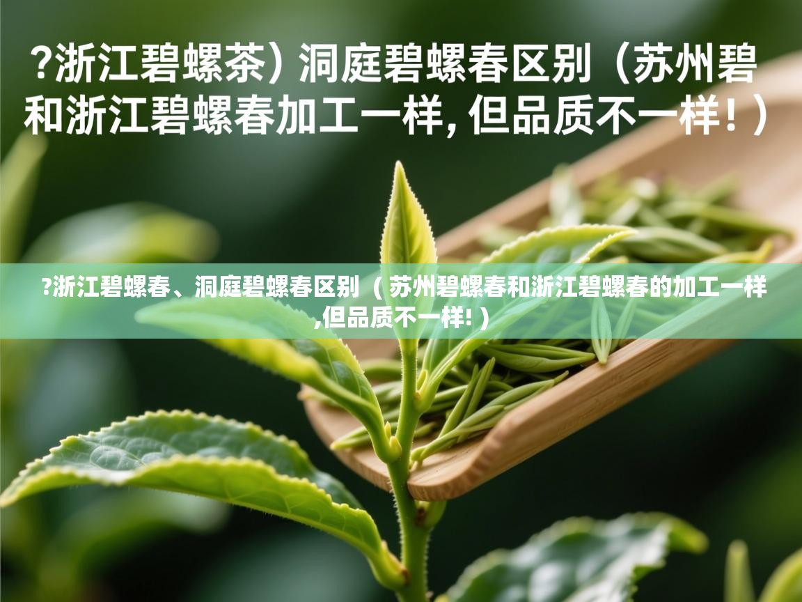 ?浙江碧螺春、洞庭碧螺春区别  ( 苏州碧螺春和浙江碧螺春的加工一样,但品质不一样! )  ?浙江碧螺春、洞庭碧螺春区别  ( 苏州碧螺春和浙江碧螺春的加工一样,但品质不一样! )