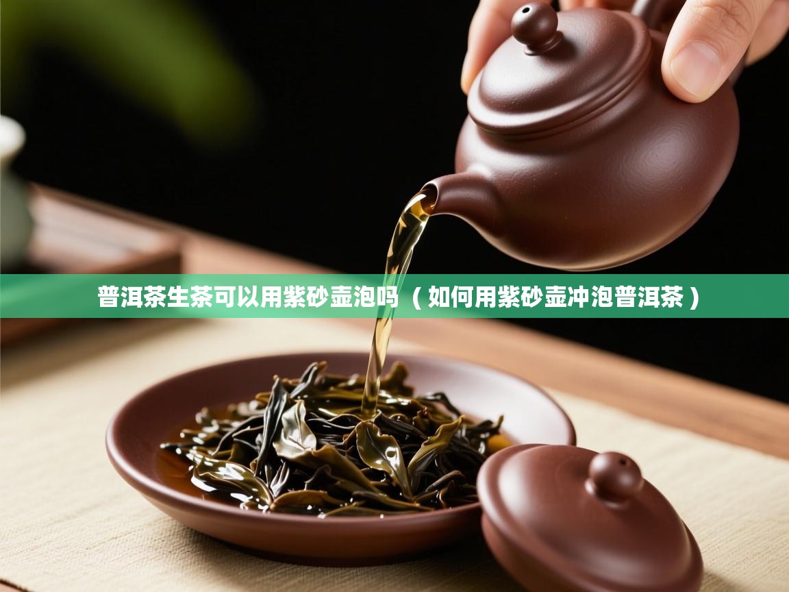 普洱茶生茶可以用紫砂壶泡吗  ( 如何用紫砂壶冲泡普洱茶 )  普洱茶生茶可以用紫砂壶泡吗  ( 如何用紫砂壶冲泡普洱茶 )