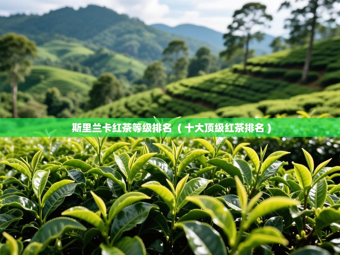 斯里兰卡红茶等级排名  ( 十大顶级红茶排名 )  斯里兰卡红茶等级排名  ( 十大顶级红茶排名 )