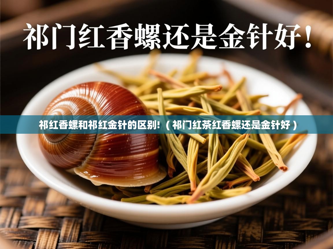 祁红香螺和祁红金针的区别!  ( 祁门红茶红香螺还是金针好 )  祁红香螺和祁红金针的区别!  ( 祁门红茶红香螺还是金针好 )