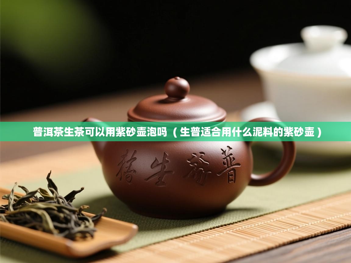 普洱茶生茶可以用紫砂壶泡吗  ( 生普适合用什么泥料的紫砂壶 )  普洱茶生茶可以用紫砂壶泡吗  ( 生普适合用什么泥料的紫砂壶 )