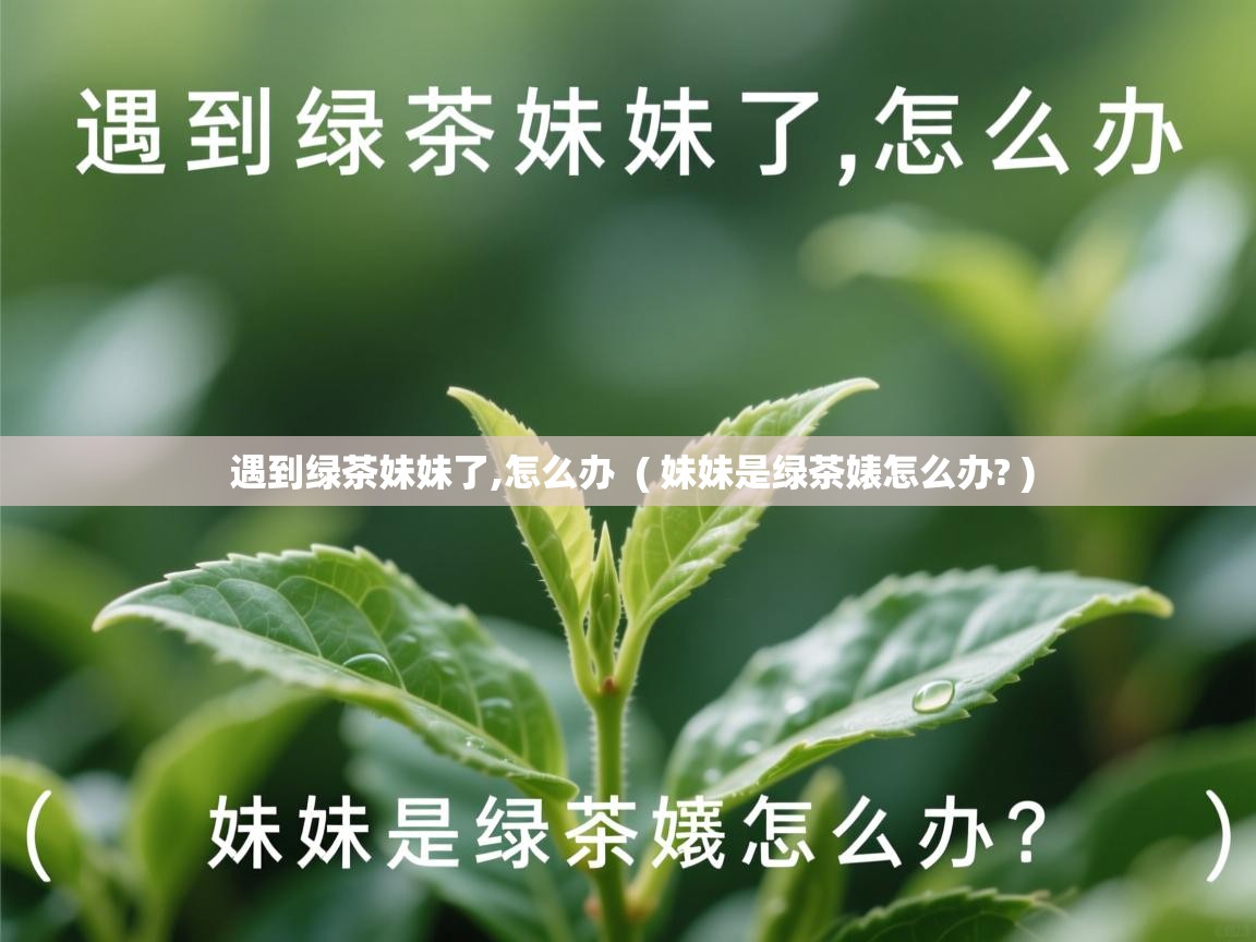 遇到绿茶妹妹了,怎么办  ( 妹妹是绿茶婊怎么办? )  遇到绿茶妹妹了,怎么办  ( 妹妹是绿茶婊怎么办? )