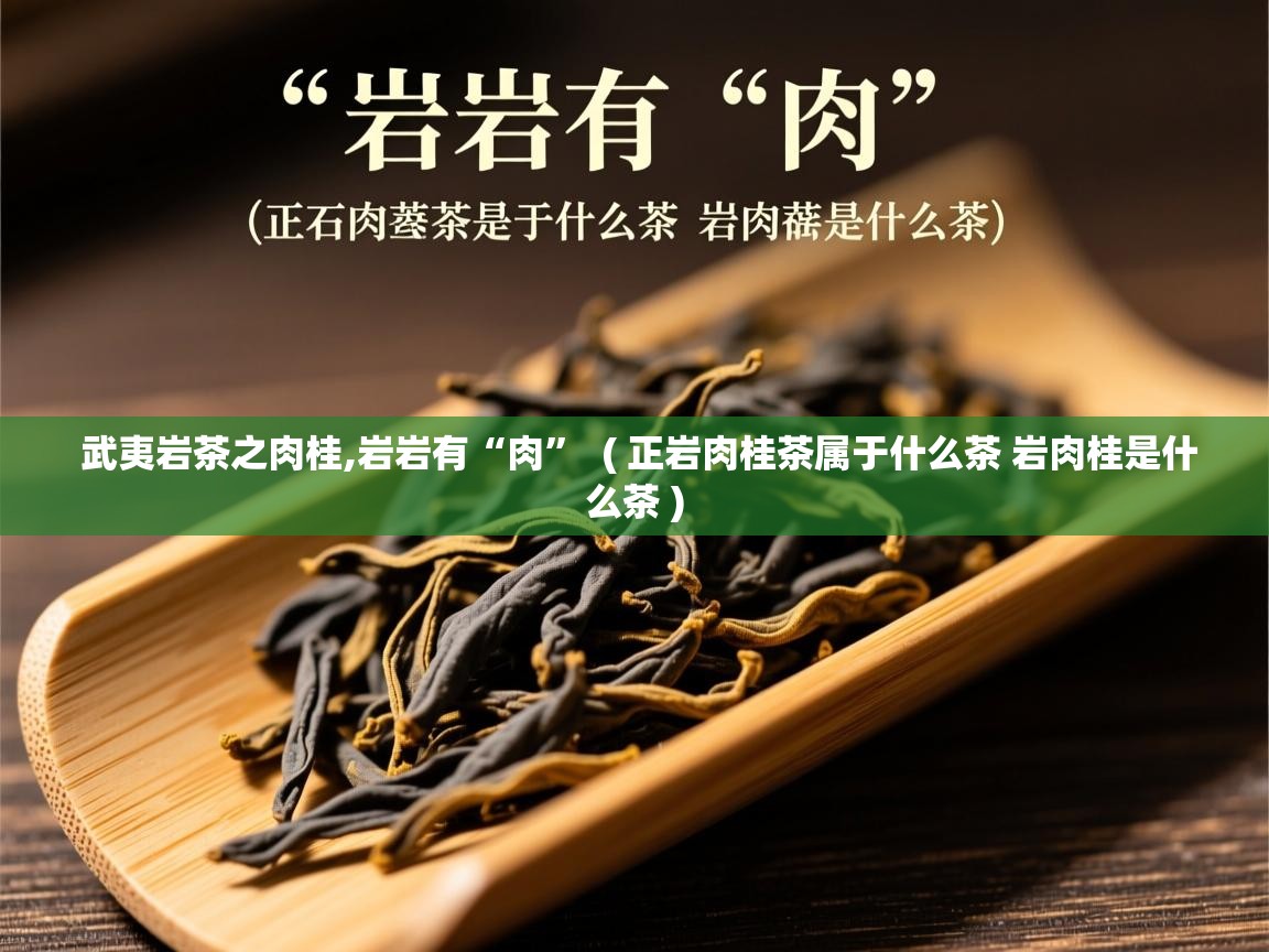 武夷岩茶之肉桂,岩岩有“肉”  ( 正岩肉桂茶属于什么茶 岩肉桂是什么茶 )  武夷岩茶之肉桂,岩岩有“肉”  ( 正岩肉桂茶属于什么茶 岩肉桂是什么茶 )