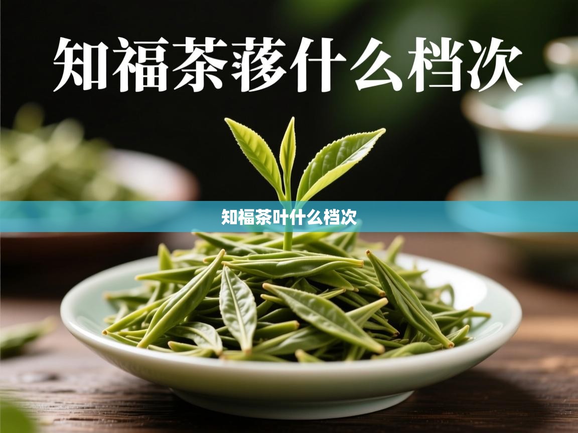 知福茶叶什么档次   知福茶叶什么档次