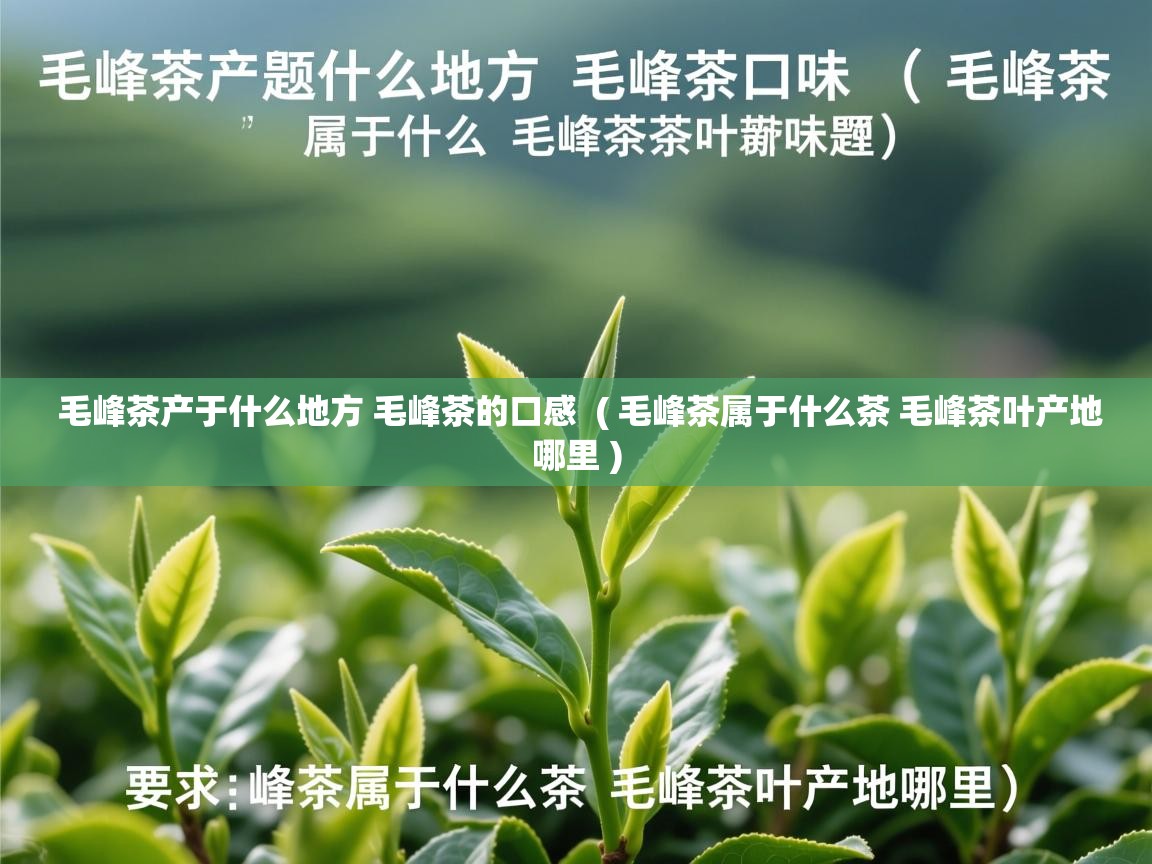 毛峰茶产于什么地方 毛峰茶的口感  ( 毛峰茶属于什么茶 毛峰茶叶产地哪里 )  毛峰茶产于什么地方 毛峰茶的口感  ( 毛峰茶属于什么茶 毛峰茶叶产地哪里 )