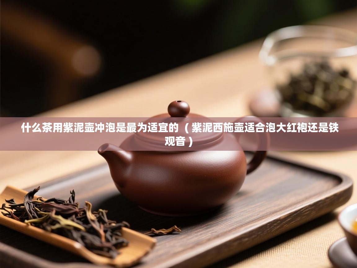  什么茶用紫泥壶冲泡是最为适宜的  ( 紫泥西施壶适合泡大红袍还是铁观音 )
