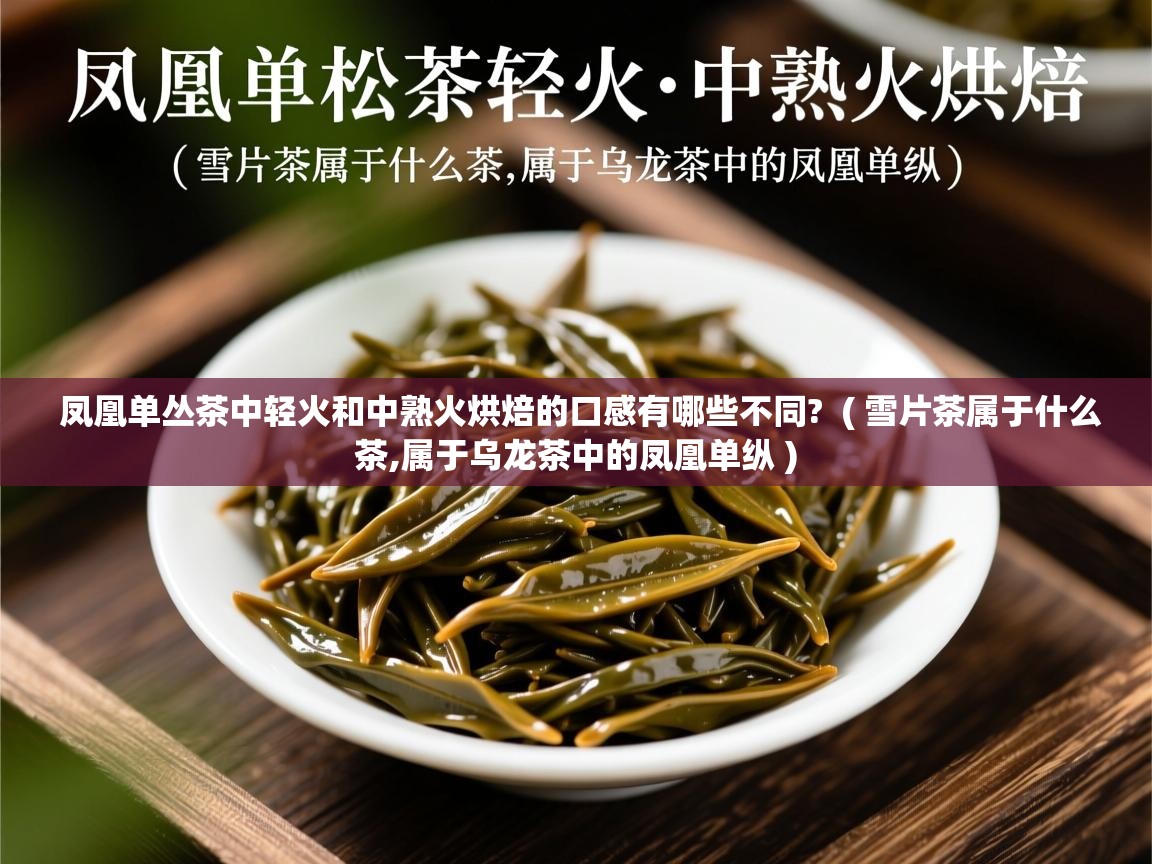 凤凰单丛茶中轻火和中熟火烘焙的口感有哪些不同?  ( 雪片茶属于什么茶,属于乌龙茶中的凤凰单纵 )  凤凰单丛茶中轻火和中熟火烘焙的口感有哪些不同?  ( 雪片茶属于什么茶,属于乌龙茶中的凤凰单纵 )